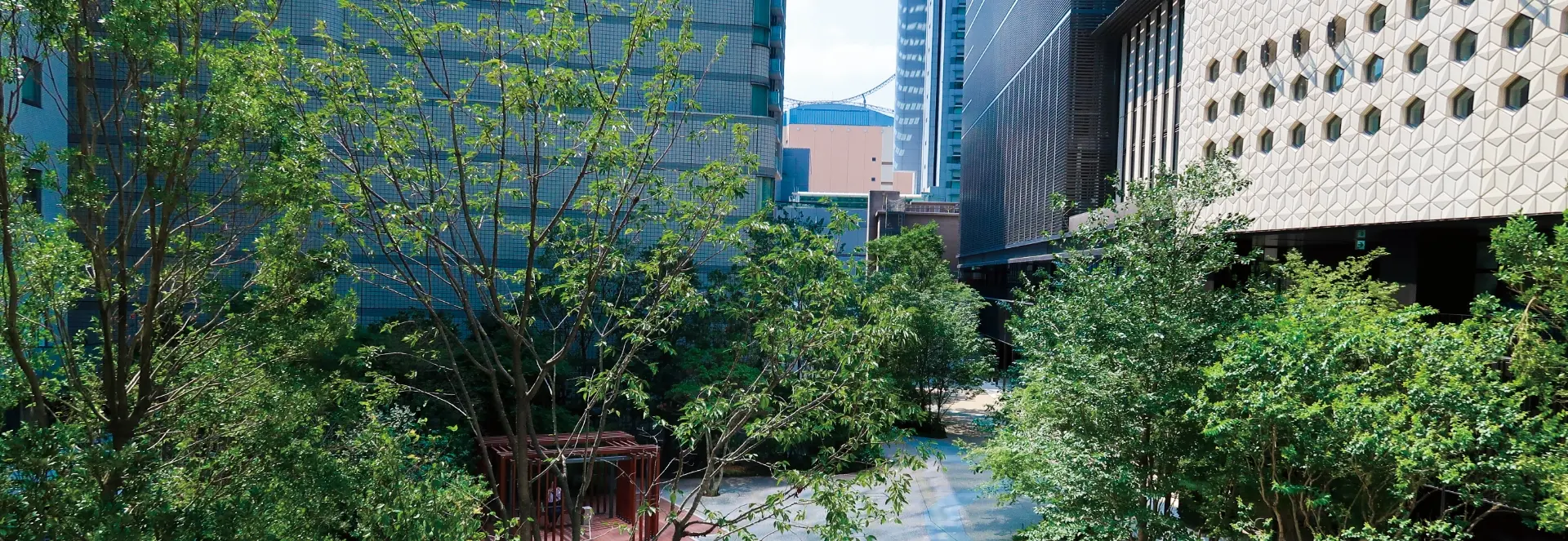 学校風景